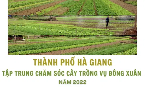 Thành phố Hà Giang: Chăm sóc cây trồng vụ Đông Xuân năm 2022
