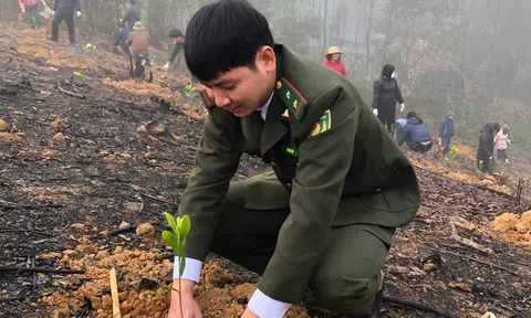 Tuyên Quang: Chiêm Hóa quản lý, bảo vệ rừng