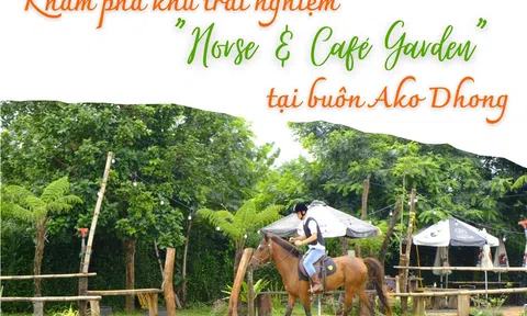 Đắk Lắk: Khám phá khu trải nghiệm “Horse & Café Garden” tại buôn Ako Dhong