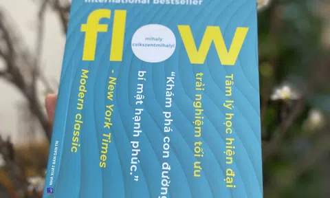 Giới thiệu sách: FLOW - Dòng chảy