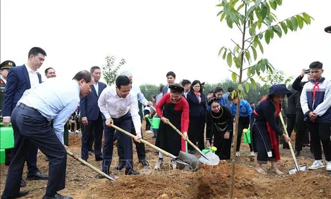 Chủ tịch nước: "Mỗi cây được trồng là món quà vô giá gửi đến tương lai cho thế hệ mai sau"