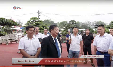 Giáo sư Trần Duy Quý chia sẻ về cây cảnh nghệ thuật trên kênh Bonsai Đất Cảng